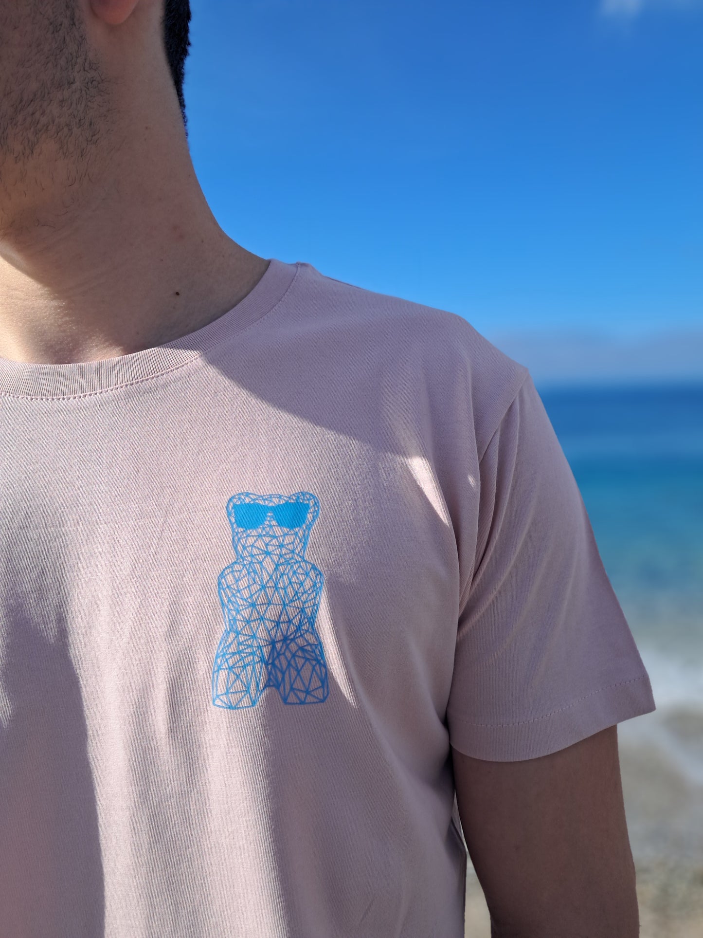 T-SHIRT Classic Homme Soft Rose/Blue