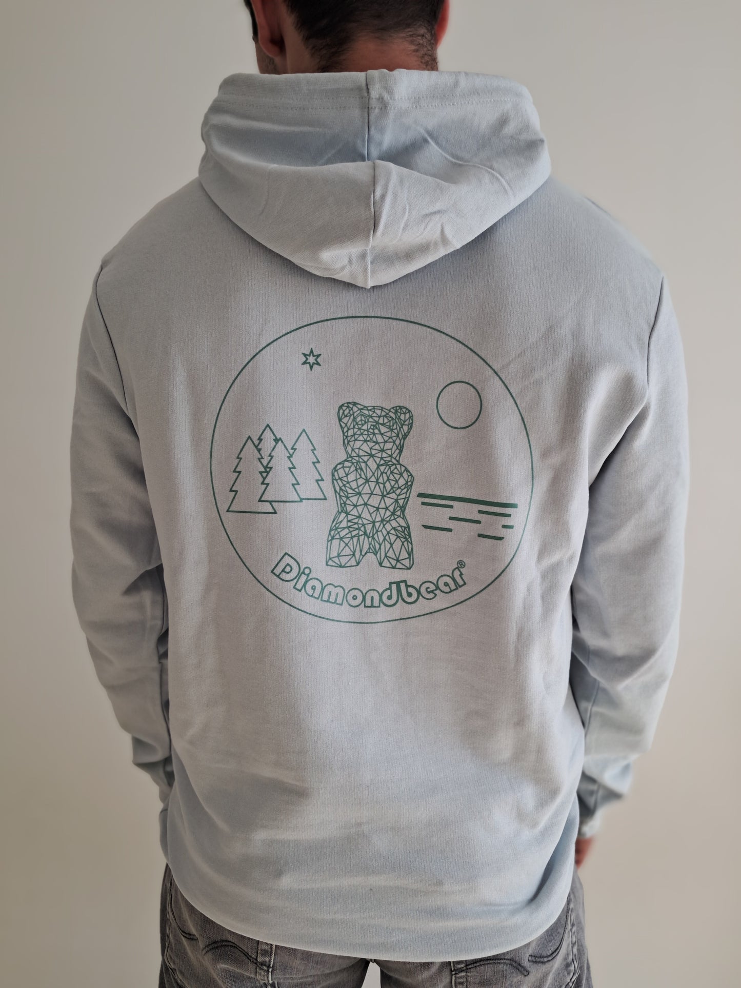 Men's Hoodie Pure Sky/ Green