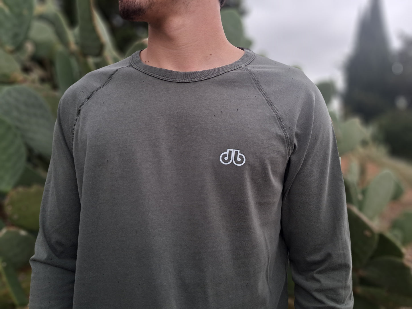 T SHIRT Raglan Homme