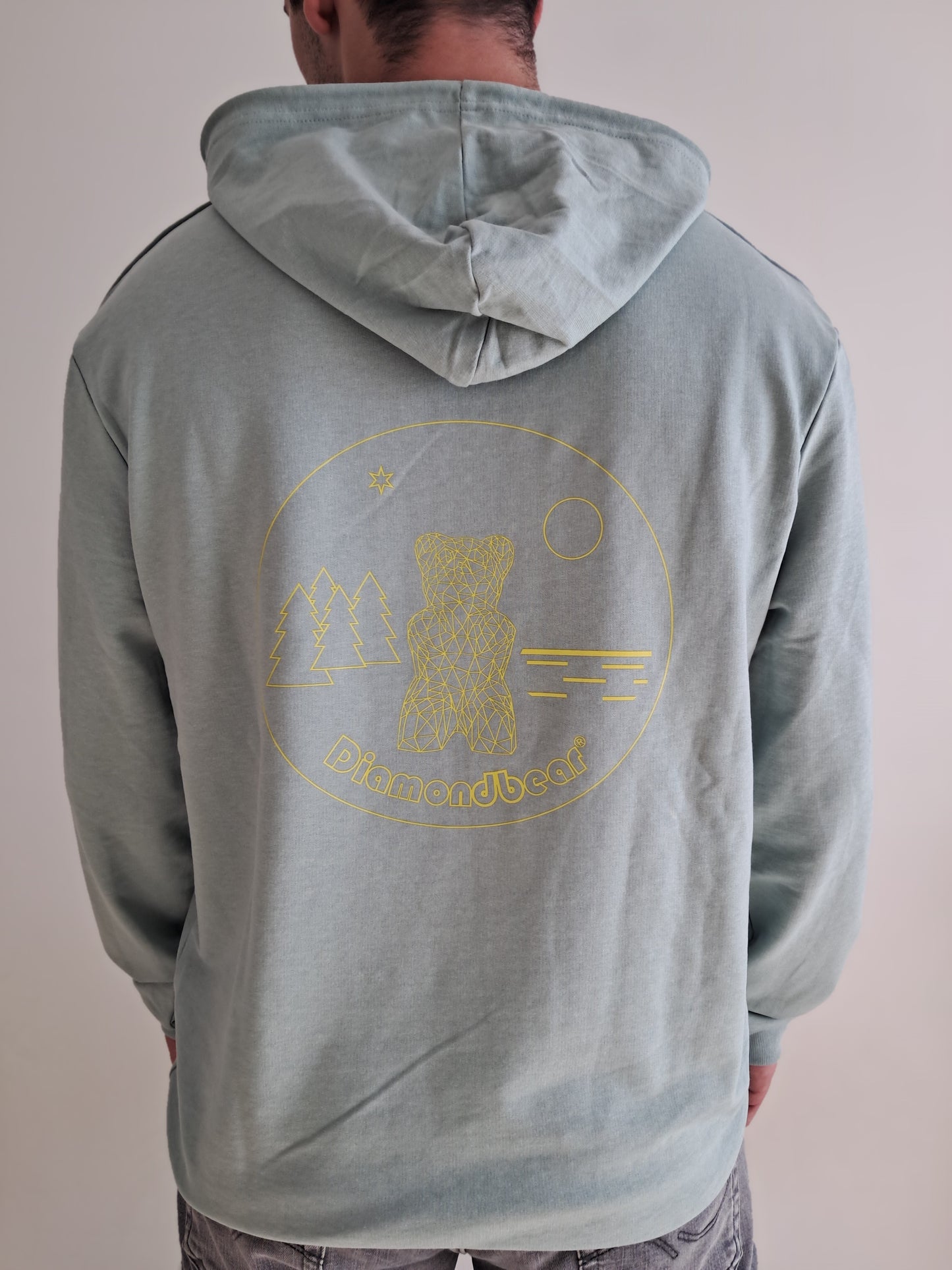 Men's Hoodie Sage/Yellow